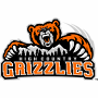 High Country Grizzlies