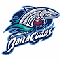  Pensacola Barracudas