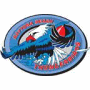 Daytona Beach ThunderBirds