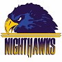 Norfolk Nighthawks (af2)