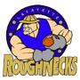 Lafayette Roughnecks (af2)