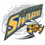 Cincinnati Swarm (af2)