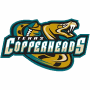 Texas Copperheads (af2)