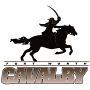 Fort Worth Cavalry (AFL I)