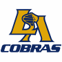 Los Angeles Cobras (AFL I)