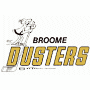 Binghamton Dusters (AHL)