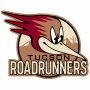 Tucson Roadrunners