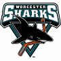  Worcester Sharks