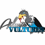 Atlanta Vultures (AIF)