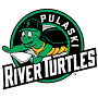 Pulaski River Turtles