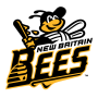 New Britain Bees