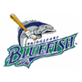  Bridgeport Bluefish