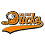 Long Island Ducks