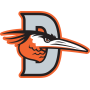 Delmarva Shorebirds