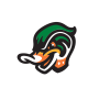 Down East Wood Ducks