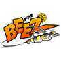 Fargo-Moorhead Beez (CBA 1)