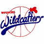 Wyoming Wildcatters (CBA 1)