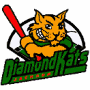 Jackson Diamond Kats