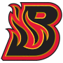 Bloomington Blaze