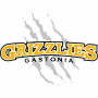  Gastonia Grizzlies