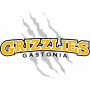 Gastonia Grizzlies (Coastal Plain)