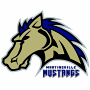 Martinsville Mustangs (Coastal Plain)