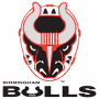 Birmingham Bulls (ECHL)