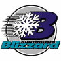 Huntington Blizzard (ECHL)