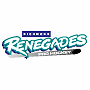 Richmond Renegades (ECHL)