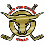 San Francisco Bulls (ECHL)