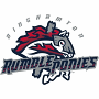 Binghamton Rumble Ponies