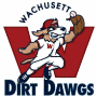 Wachusett Dirt Dawgs (FCBL)