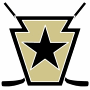 Steel City Warriors