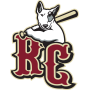 River City Rascals