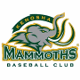 Kenosha Mammoths (FL)