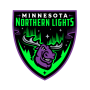 Minnesota Northern Lights
