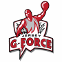 Jersey G-Force