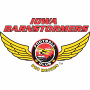 Iowa Barnstormers