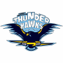 West Michigan Thunderhawks (IFL)
