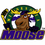 Minnesota Moose (IHL 1)