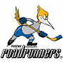 Phoenix Roadrunners (IHL 1)