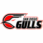 San Diego Gulls (IHL 1)