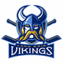 Lake Erie Vikings