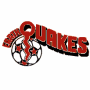 Golden Bay Earthquakes (MISL 1)