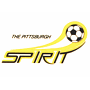 Pittsburgh Spirit (MISL 1)