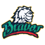 Bravos de Leon
