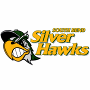  South Bend Silver Hawks