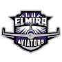 Elmira Aviators