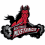 New Mexico Mustangs