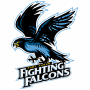 Port Huron Fighting Falcons (NAHL)